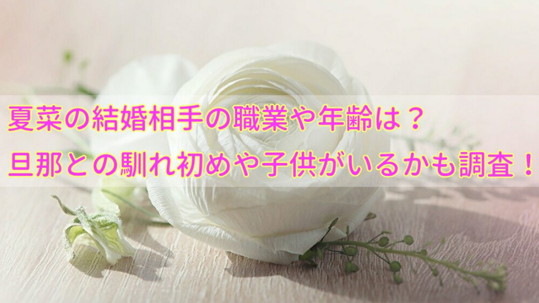 夏菜の結婚相手の職業や年齢は 旦那との馴れ初めや子供がいるかも調査 せせない夢